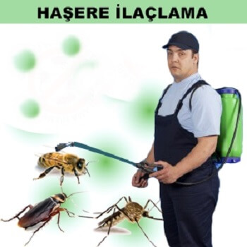 Reyhanlı Böcek İlaçlama